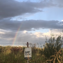 A landscape with a patch of grass and shrubs, partly cloudy skies, and a faint rainbow in the background. A sign with 'BAY ALARM' stands prominently in the foreground.