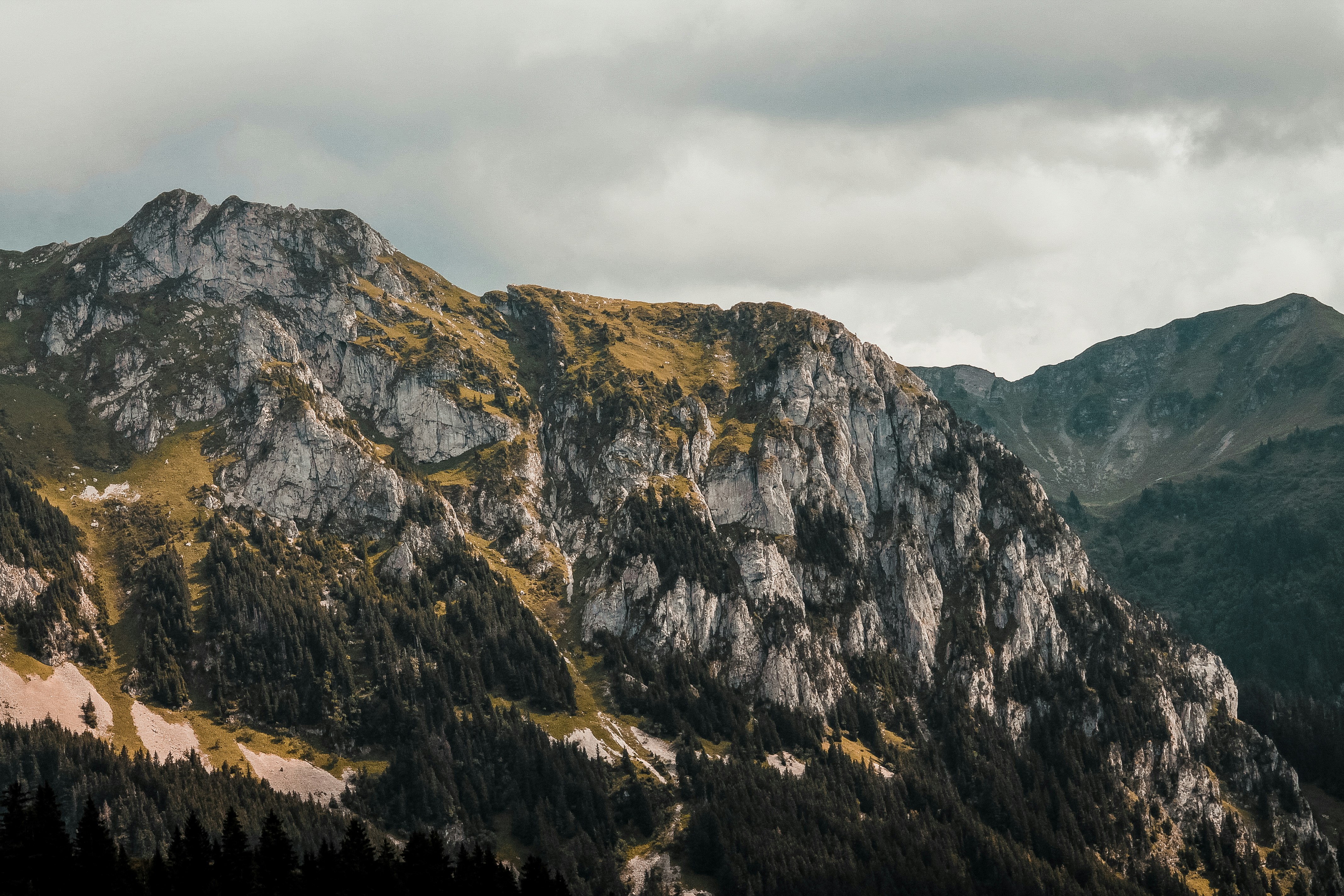 Photo by floriancario