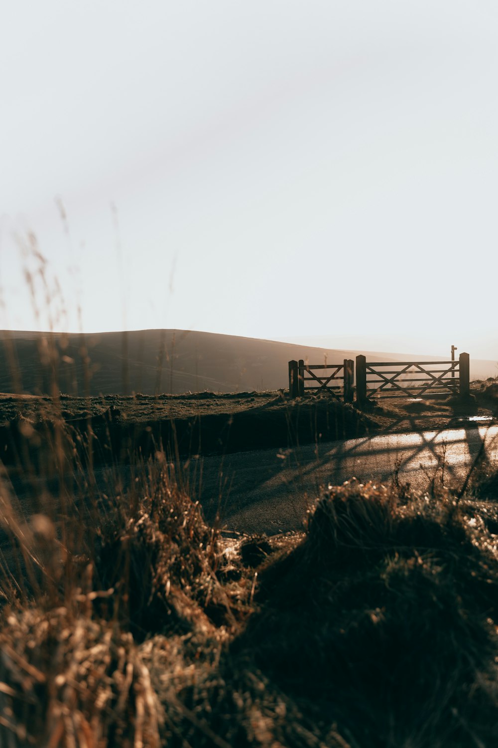 brown bridge