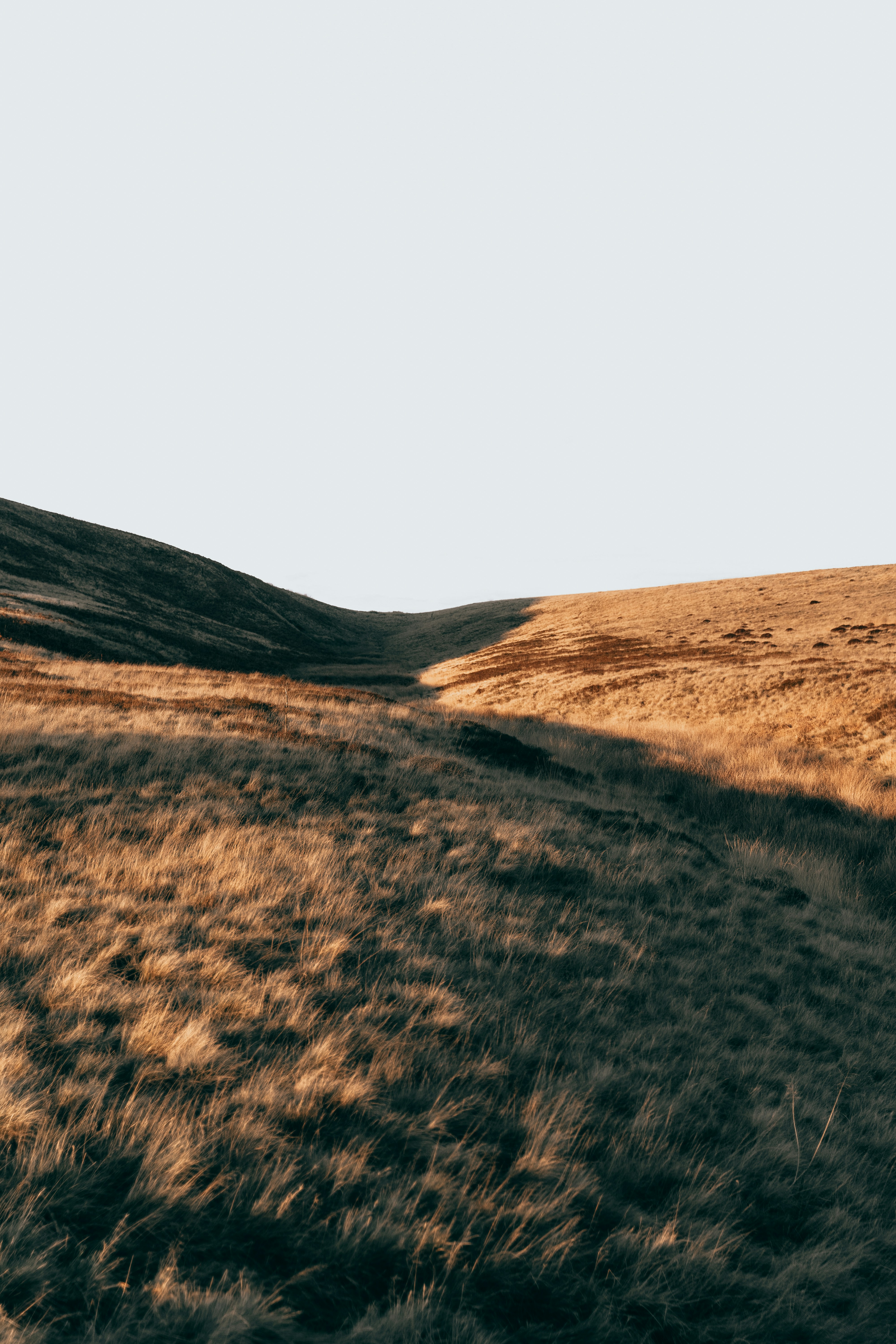 Photo by henry_ravenscroft_