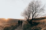 two persons walking on dirt road near bare tree