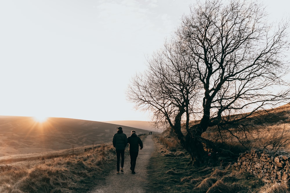 two persons walking on dirt road near bare tree