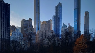 city during day