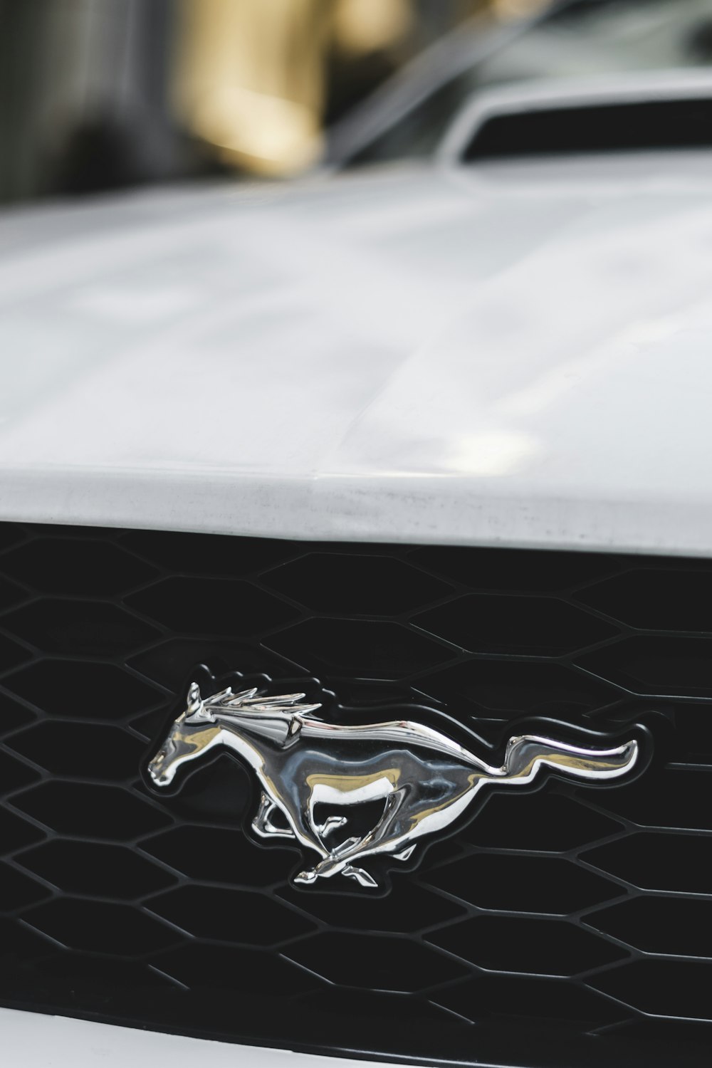 Ford Mustang Branco 사진 – Unsplash의 무료 로고 이미지