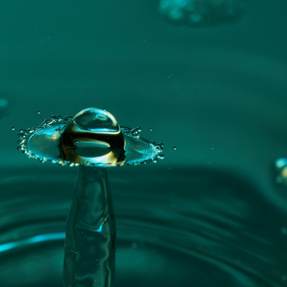 selective focus photography of splashing water