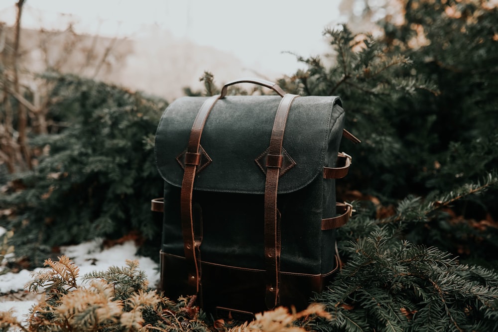 black knapsack on green leaves