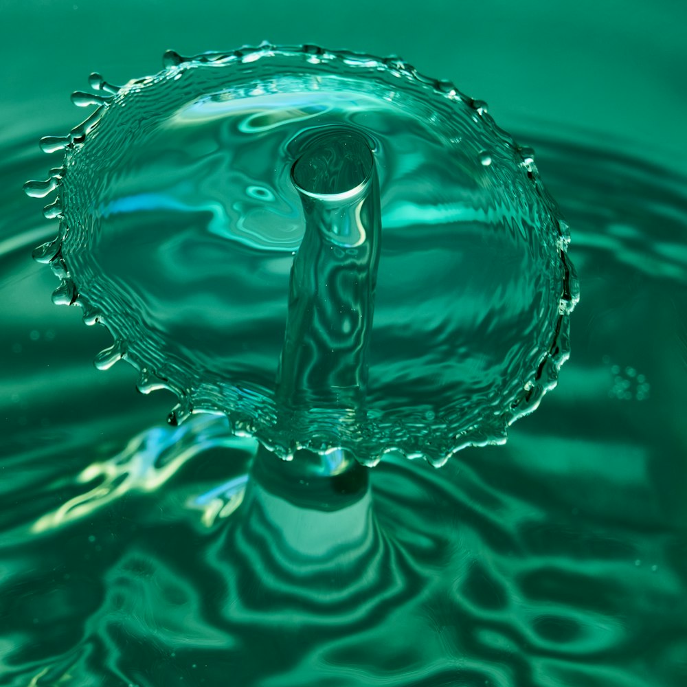 selective focus photography of splash of water