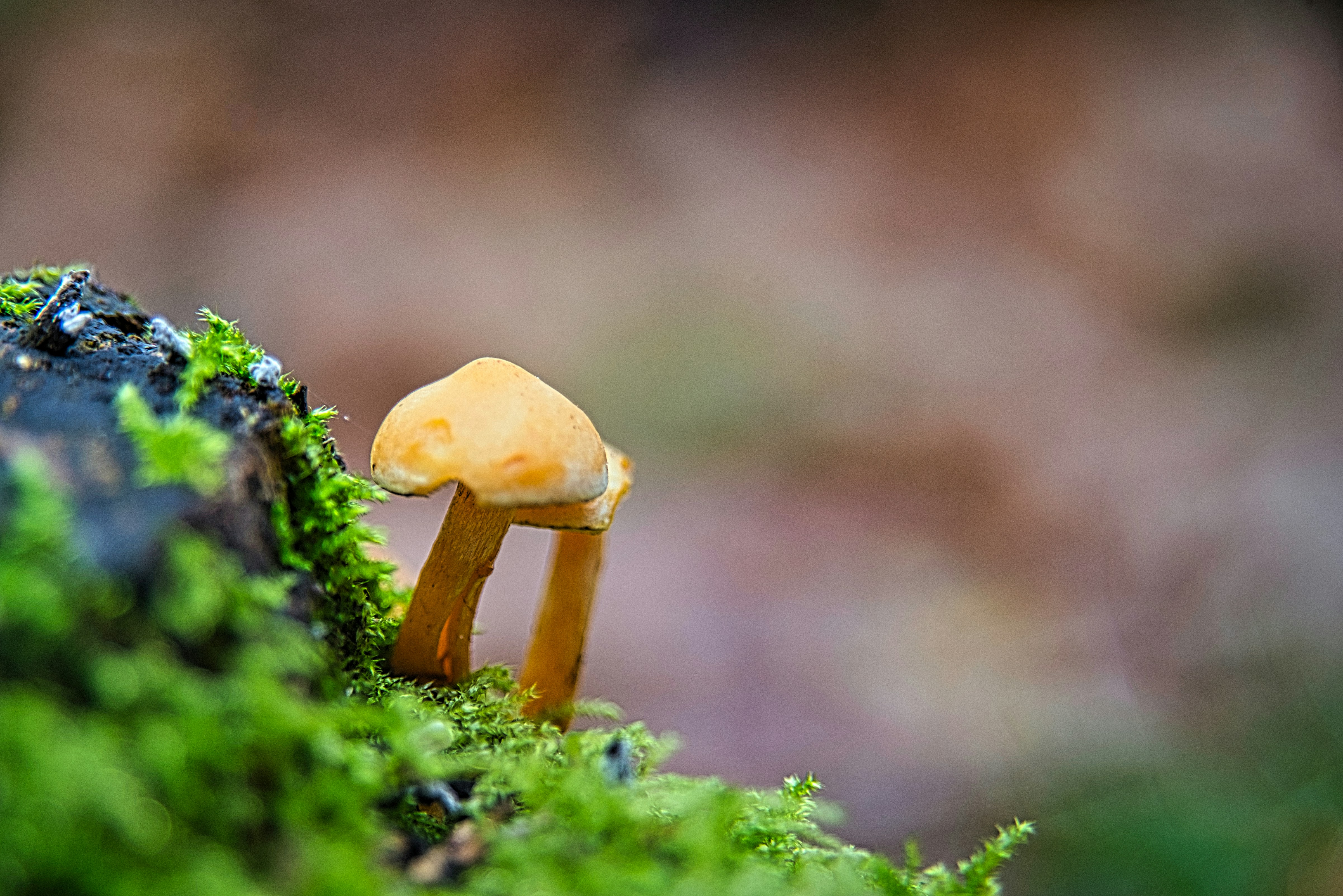 Photo by darrencoleshill