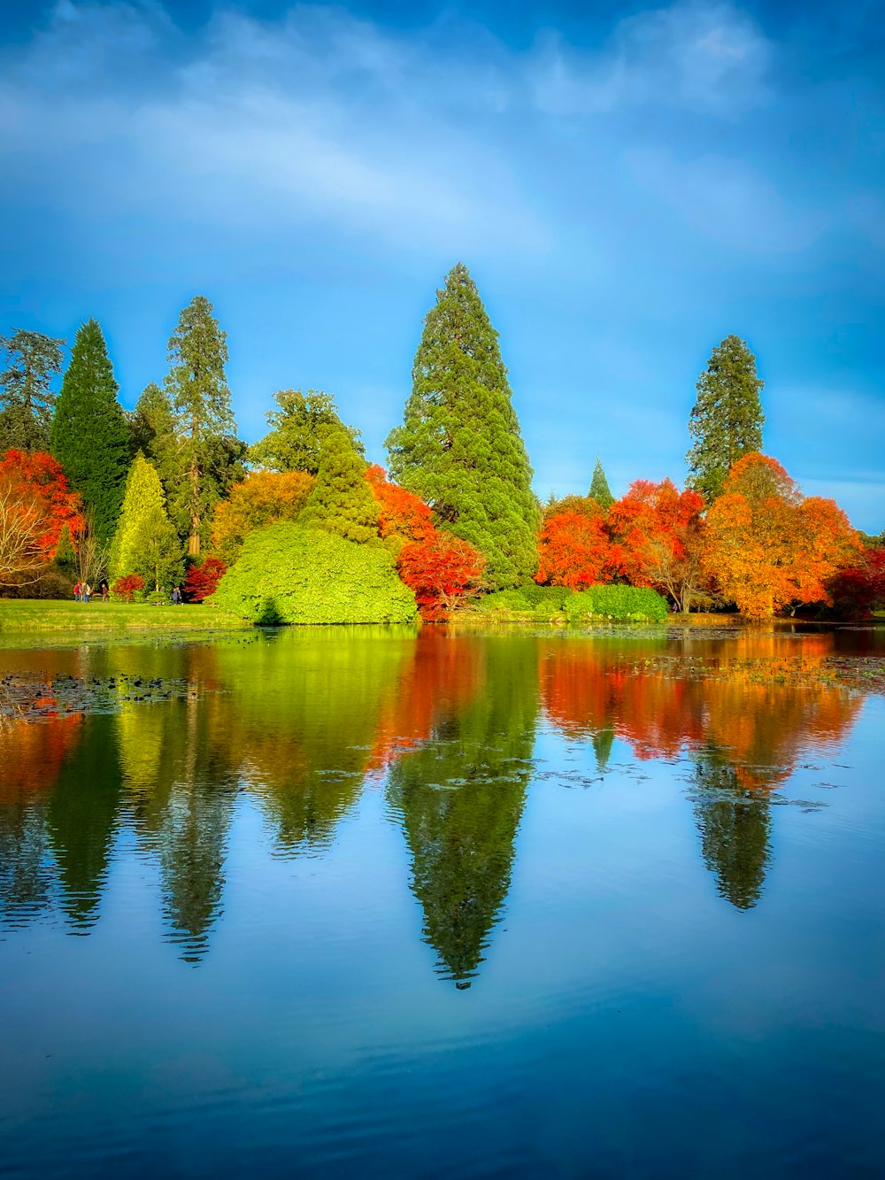 brown body of water