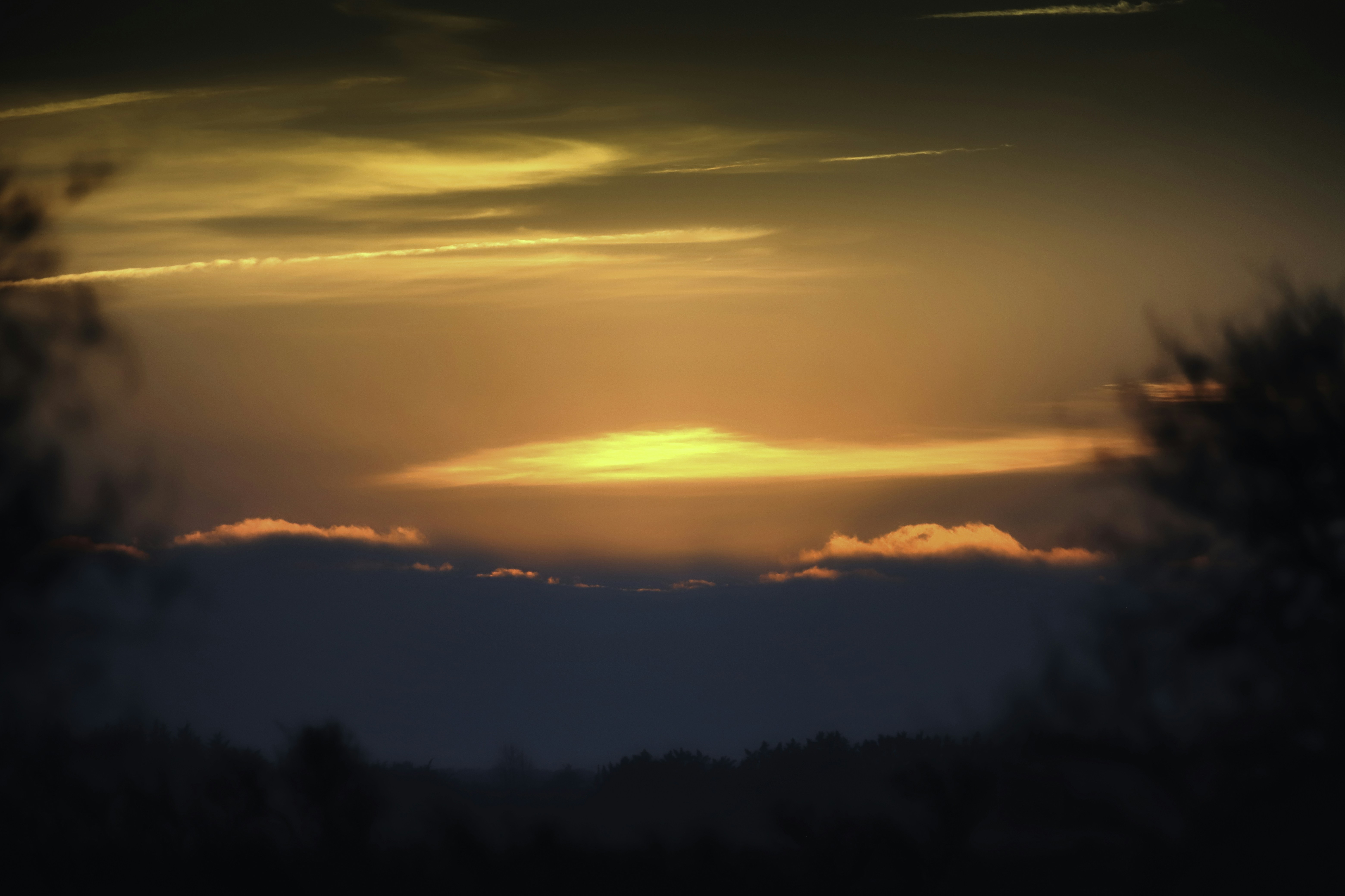 Photo by arizonanthony