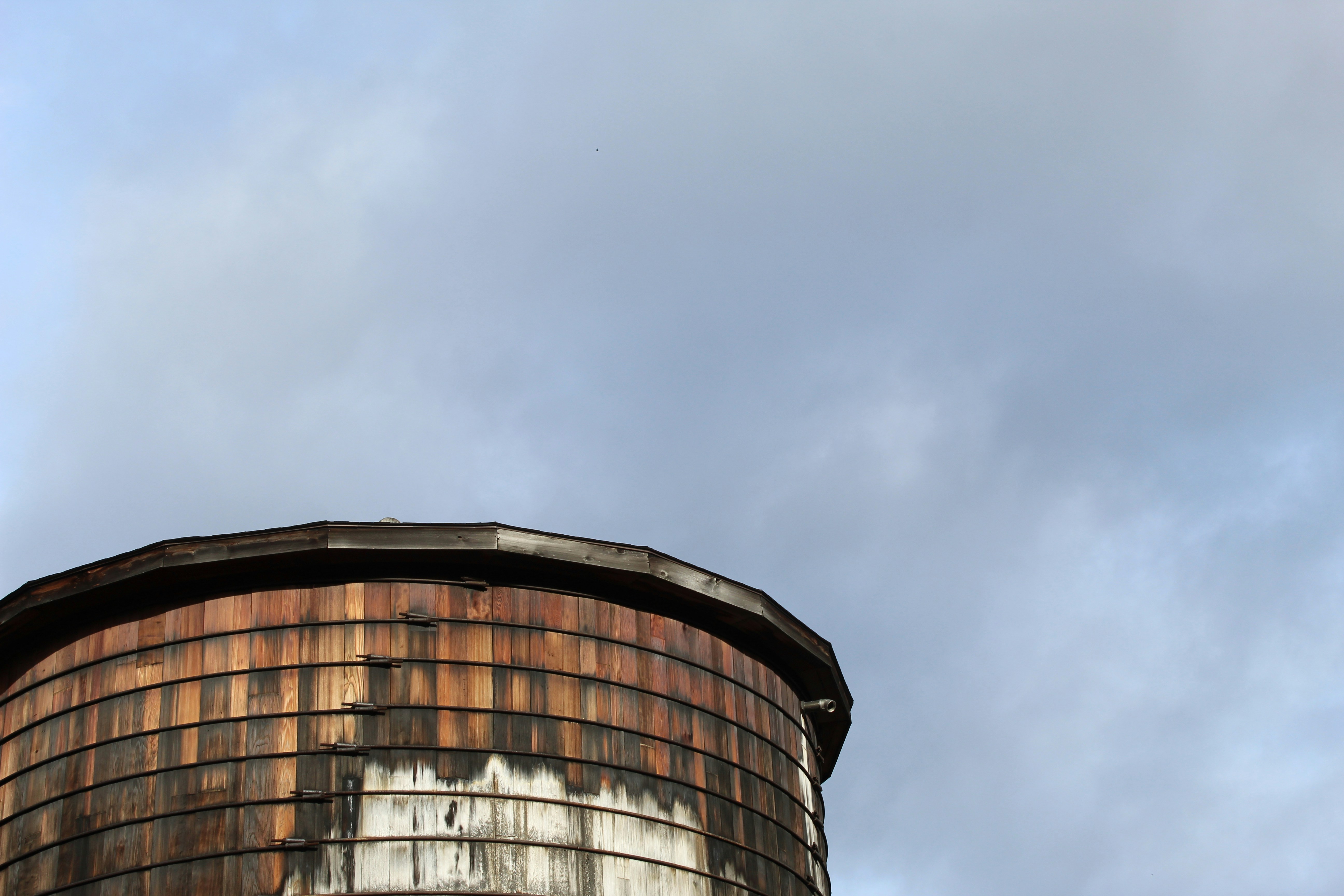 brown and white tank west virginia zoom background