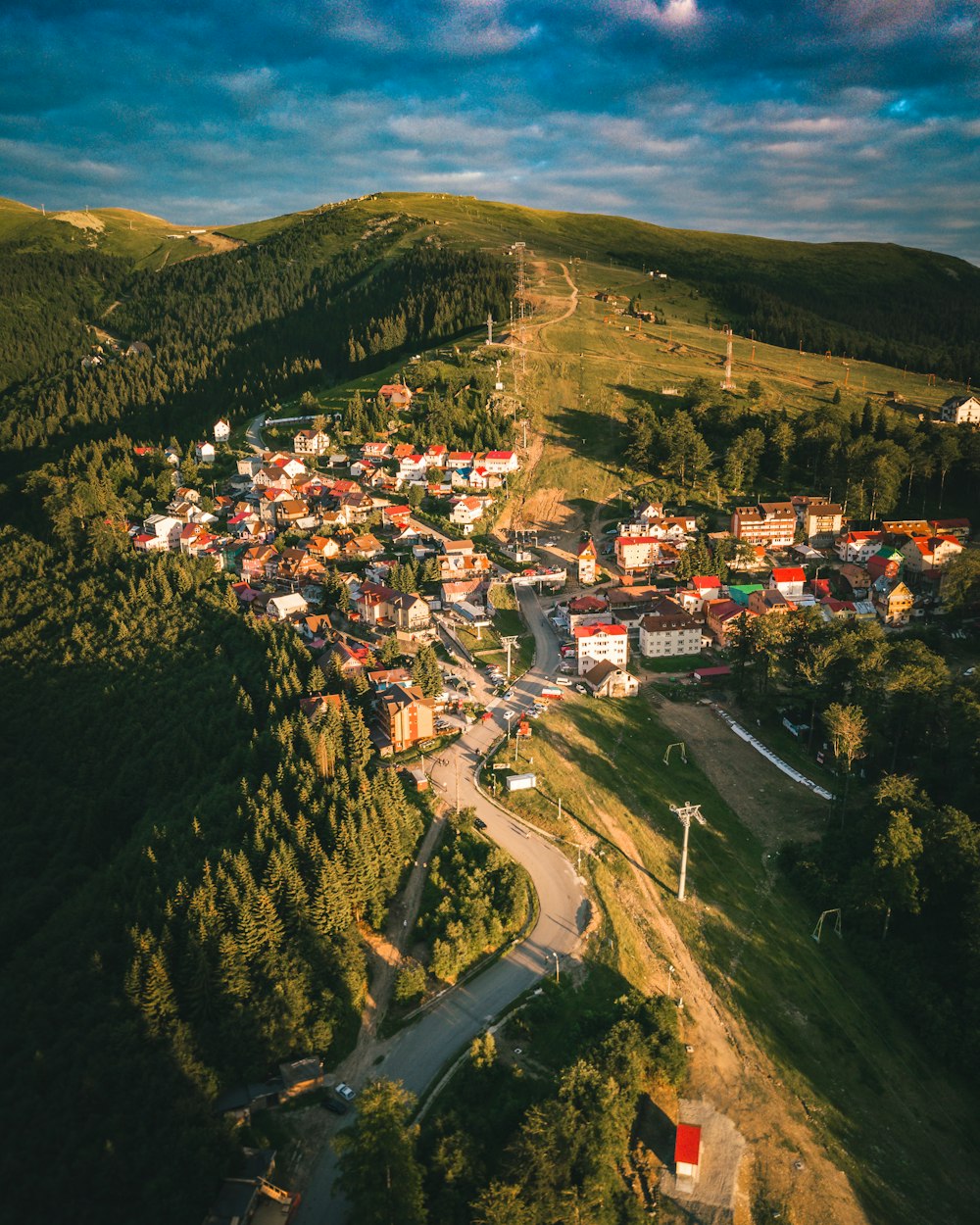 aerial view of buildings and trees during daytime