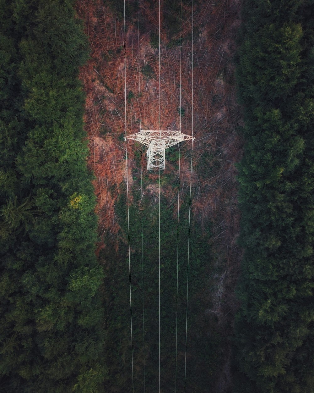 an aerial view of a power line in the middle of a forest