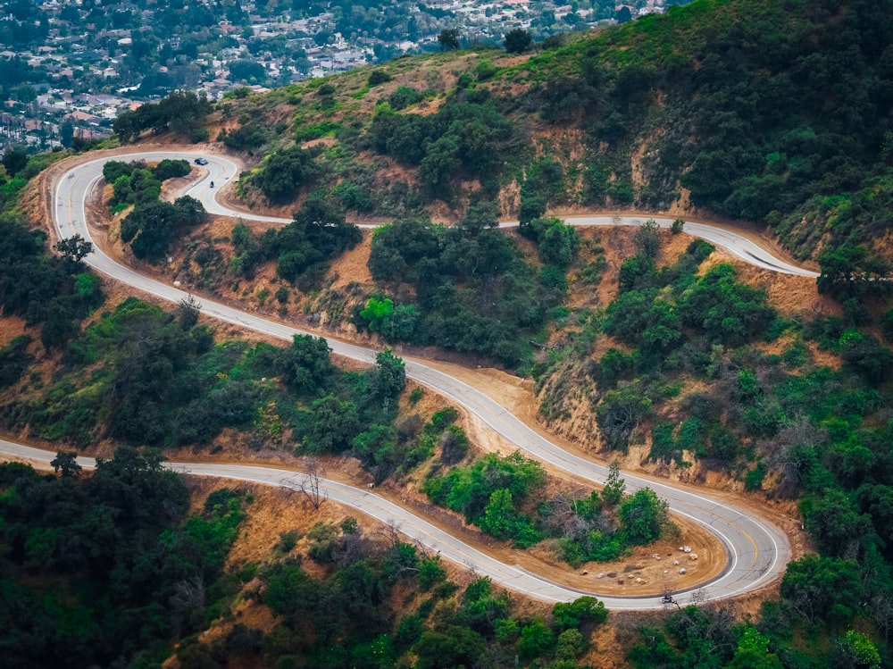 aerial view of trees