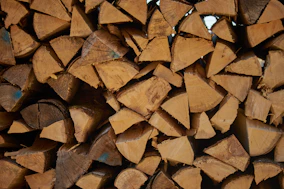piled fire woods