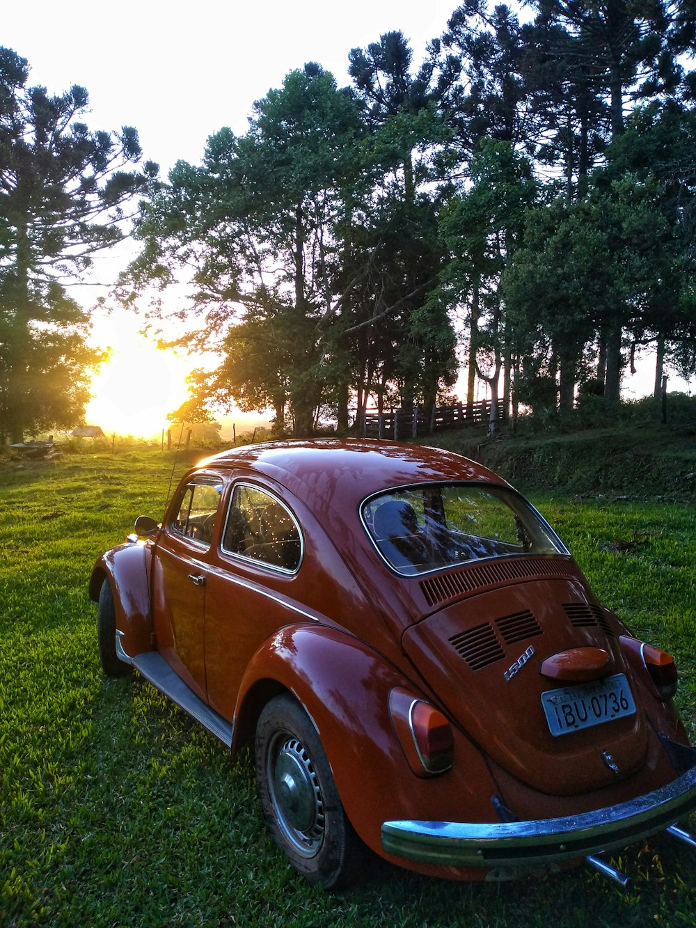 classic red Volkswagen Beetle coupe on grass field near trees during golden hour