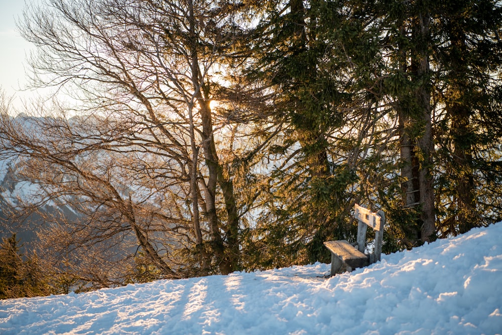 banc brun à côté des arbres pendant la journée