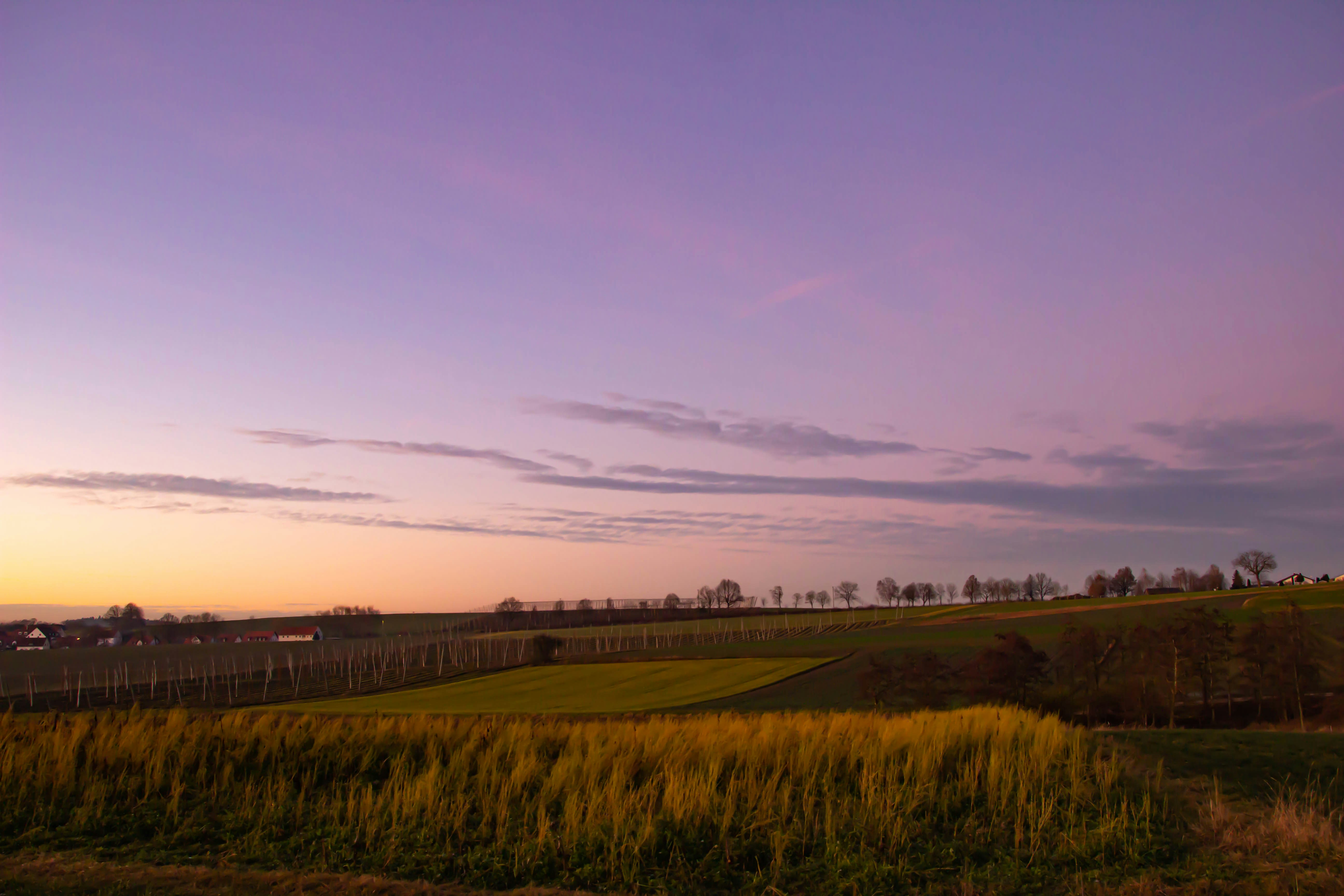 Photo by derlinkdoktor