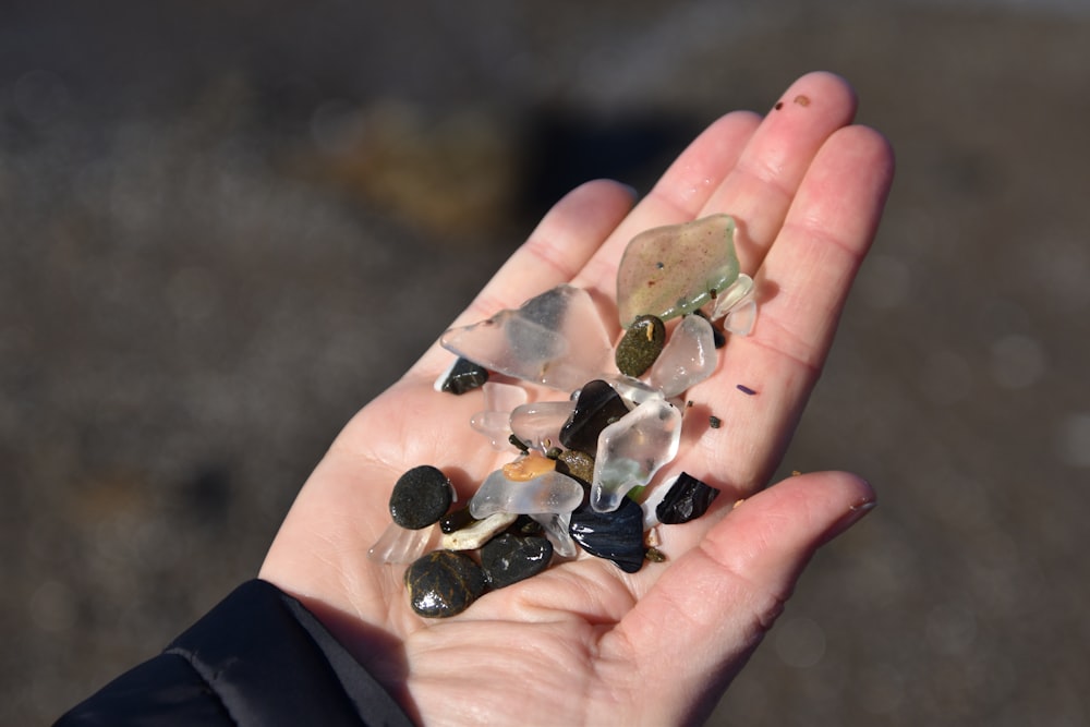 person holding assorted-color of stones