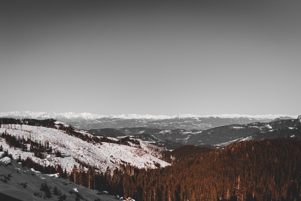 glacier mountains and forest during day