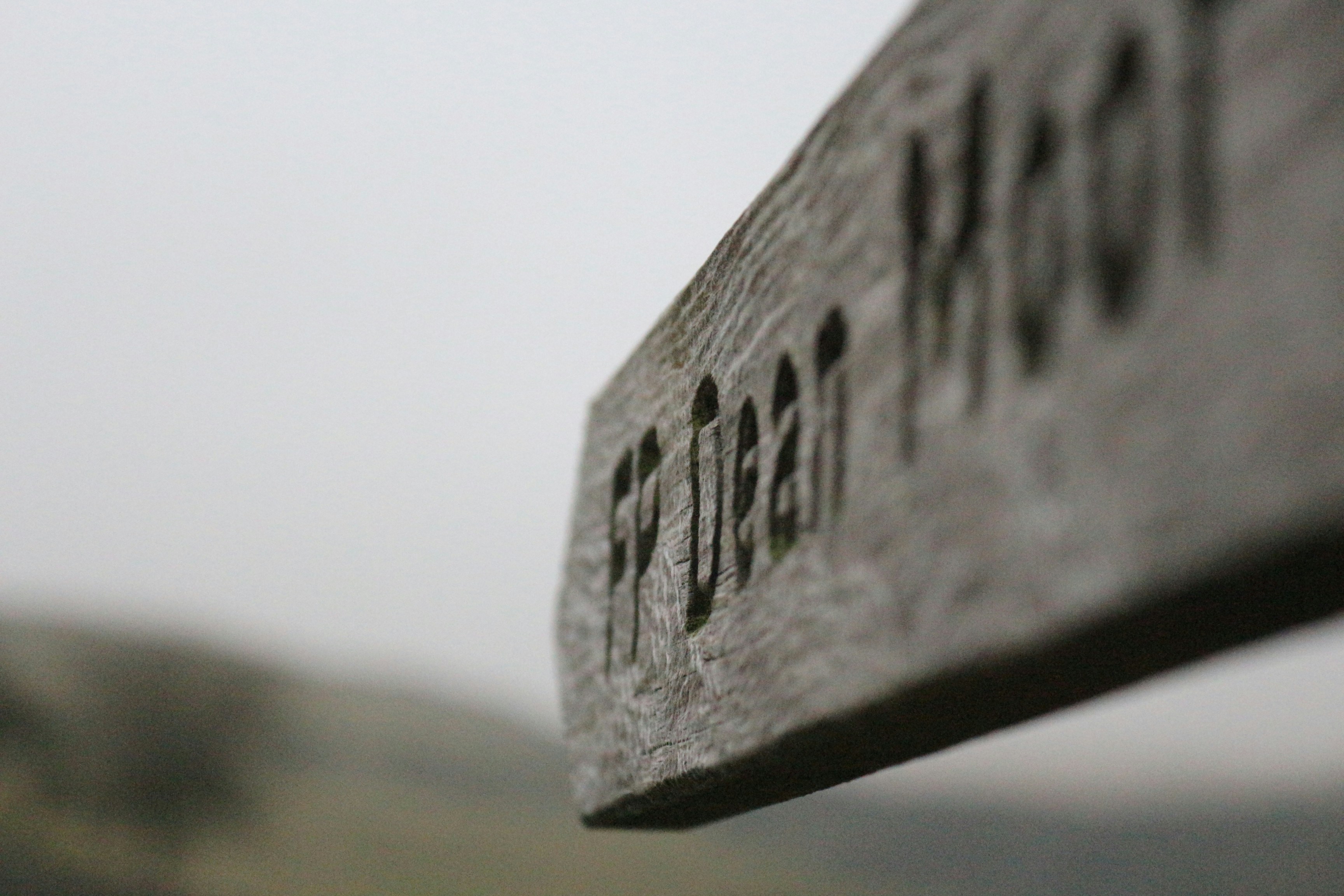 Photo by lidia_nikole