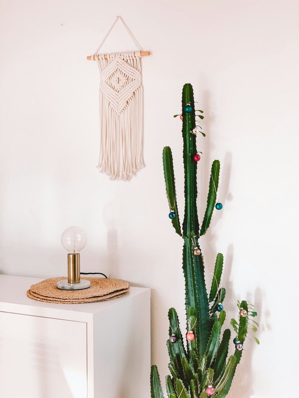 grüner Kaktus neben weißem Schrank mit Lampe