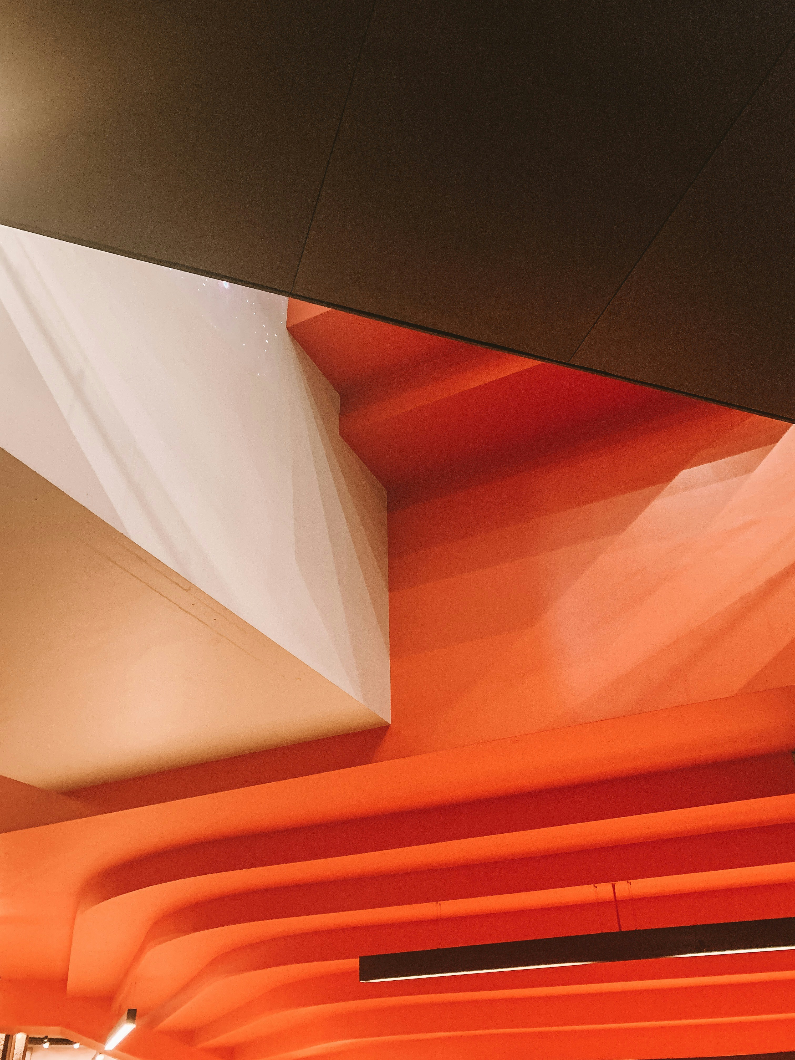 Photo by charlotablunarova