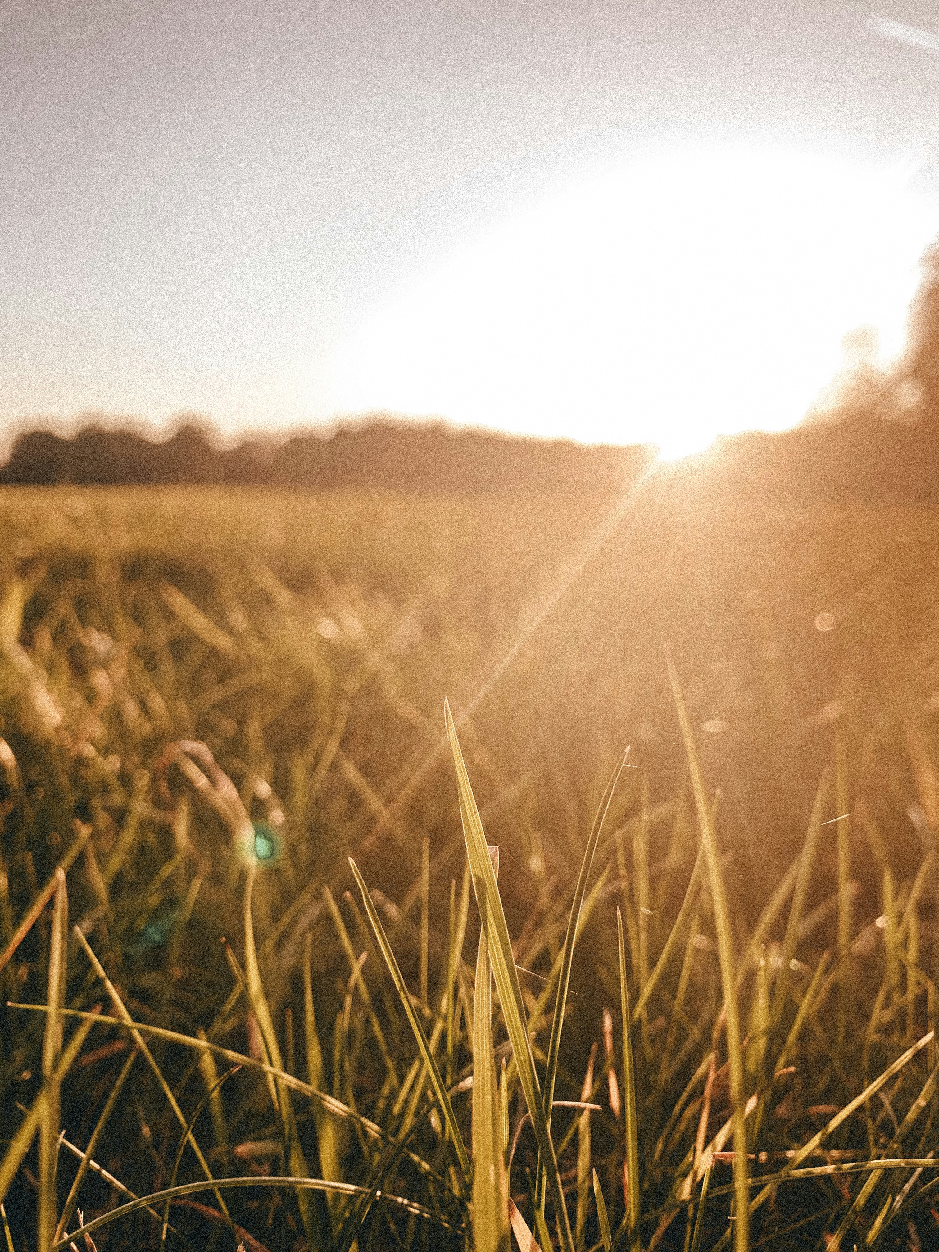 Photo by charlotablunarova