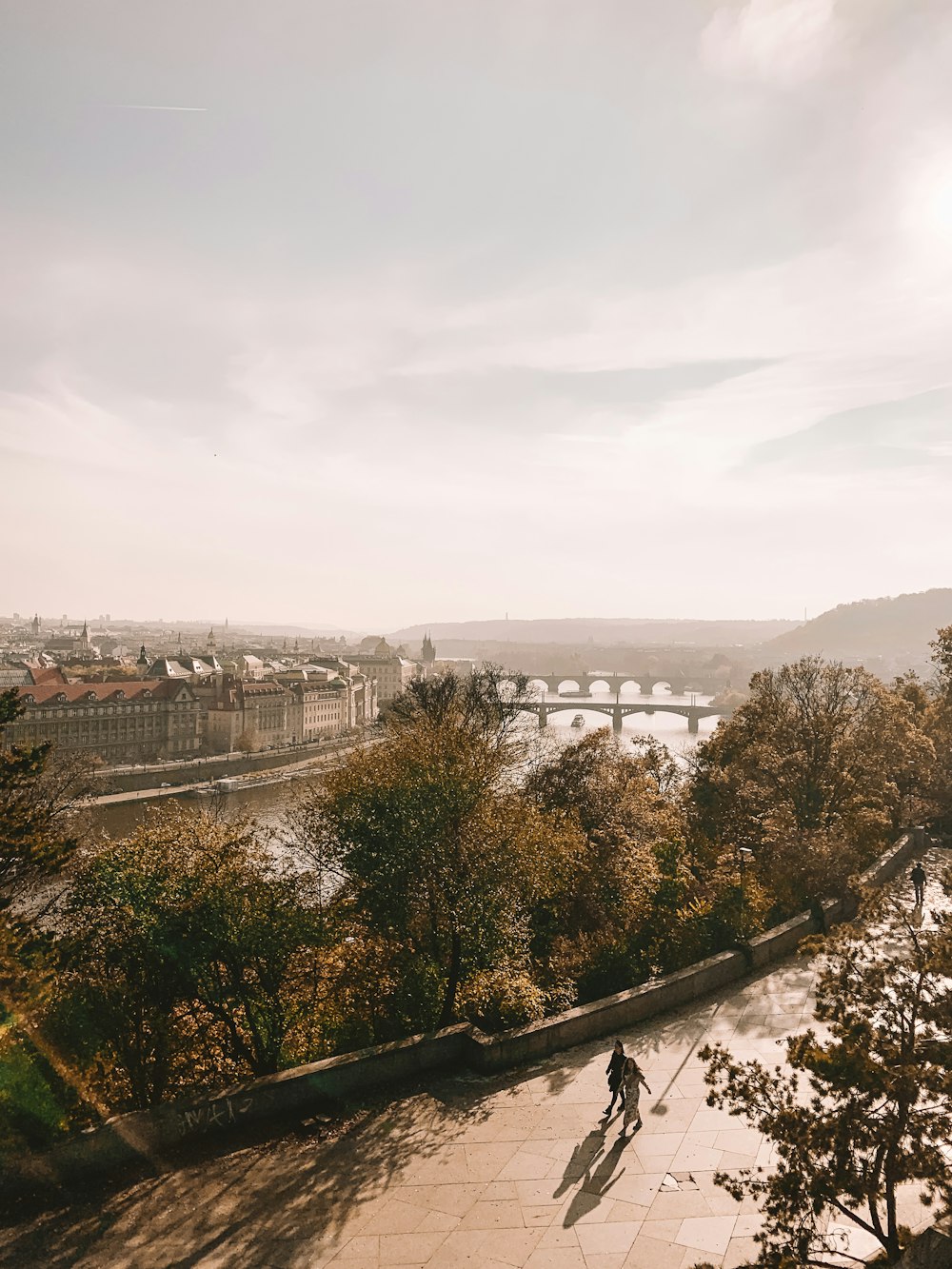 bridges, trees, and buildings during day