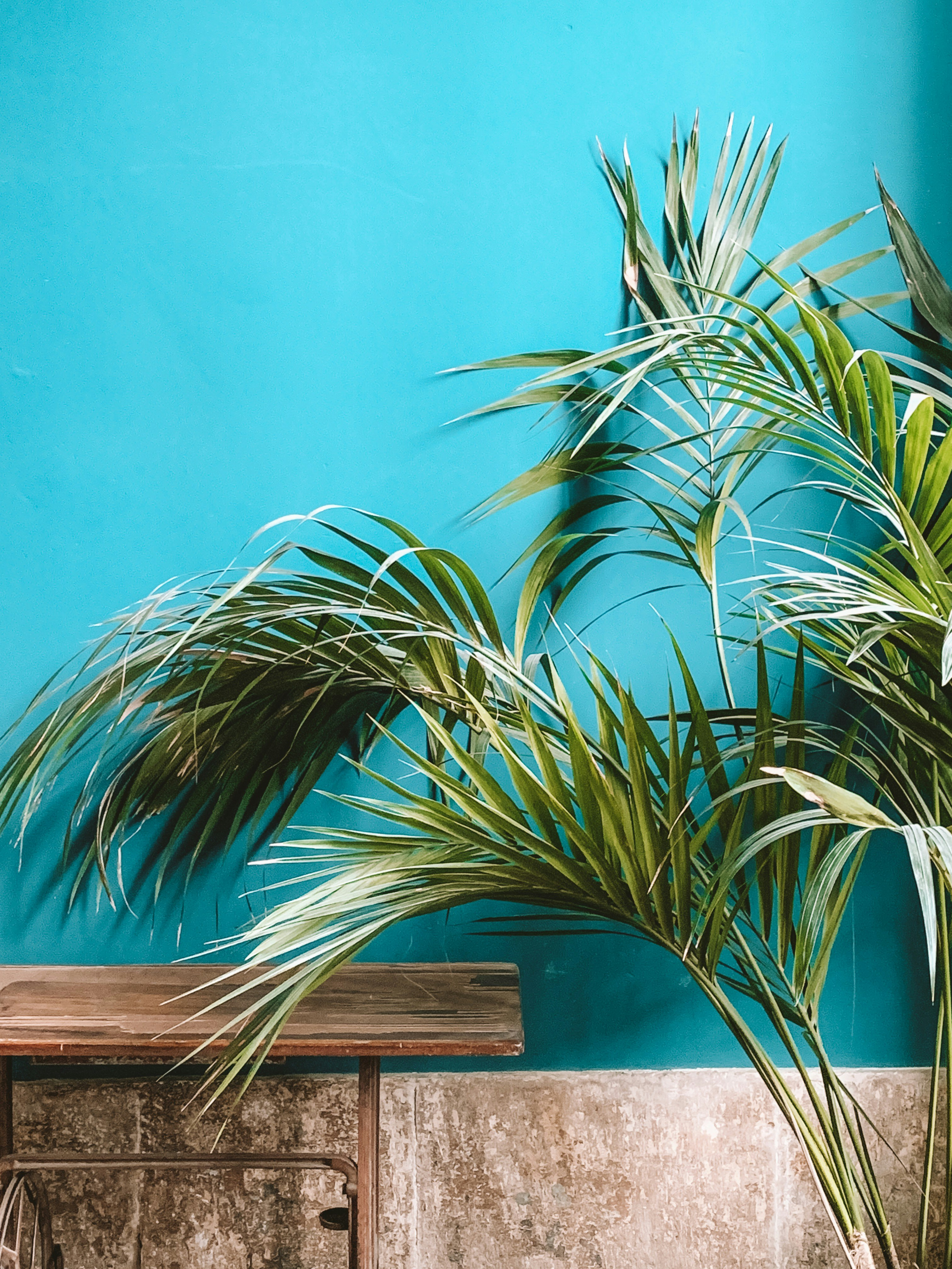 Photo by charlotablunarova