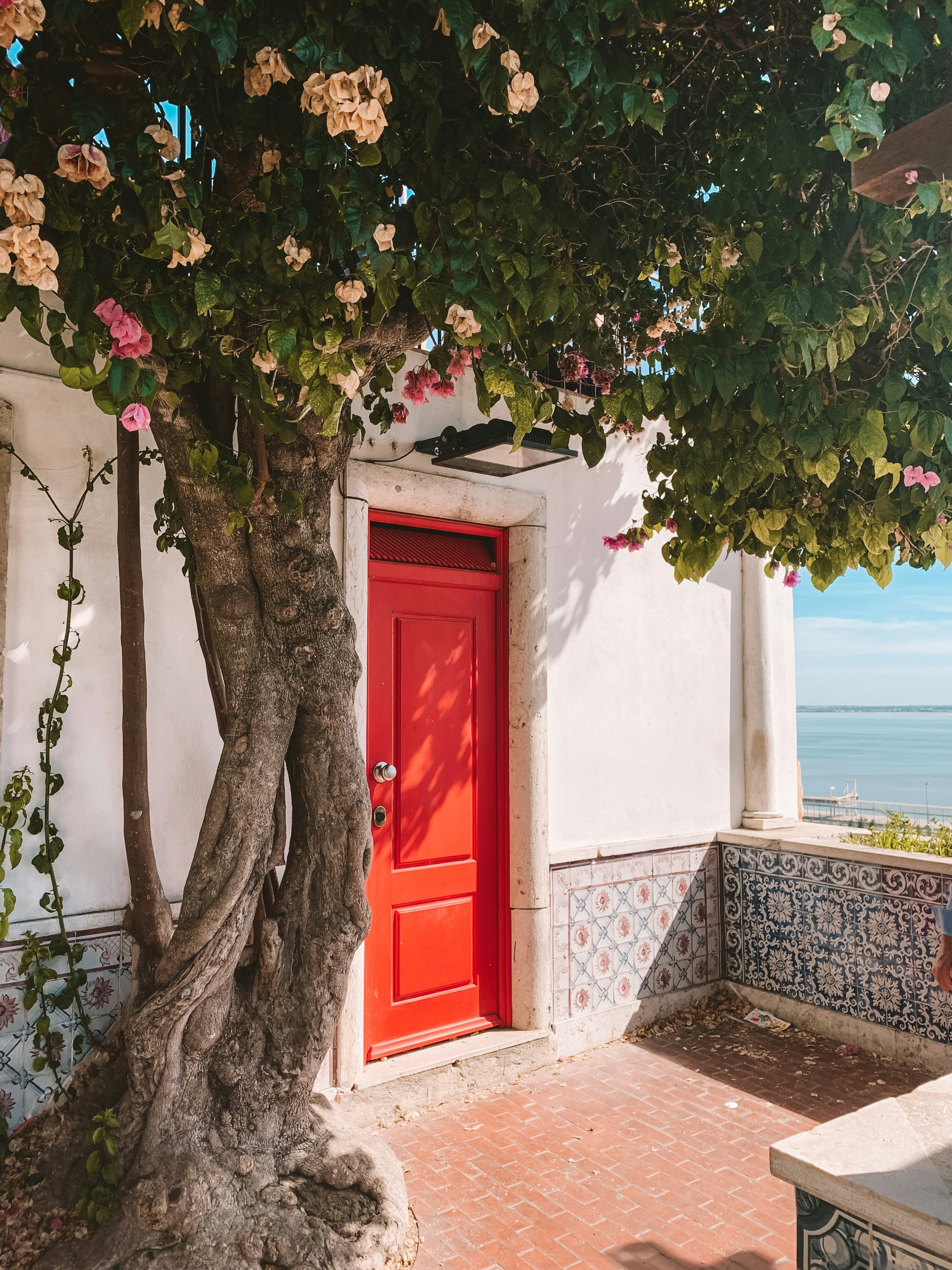 Photo by charlotablunarova