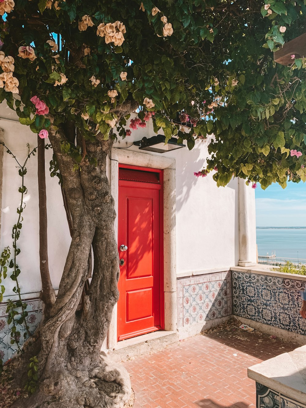 building with closed door near tree