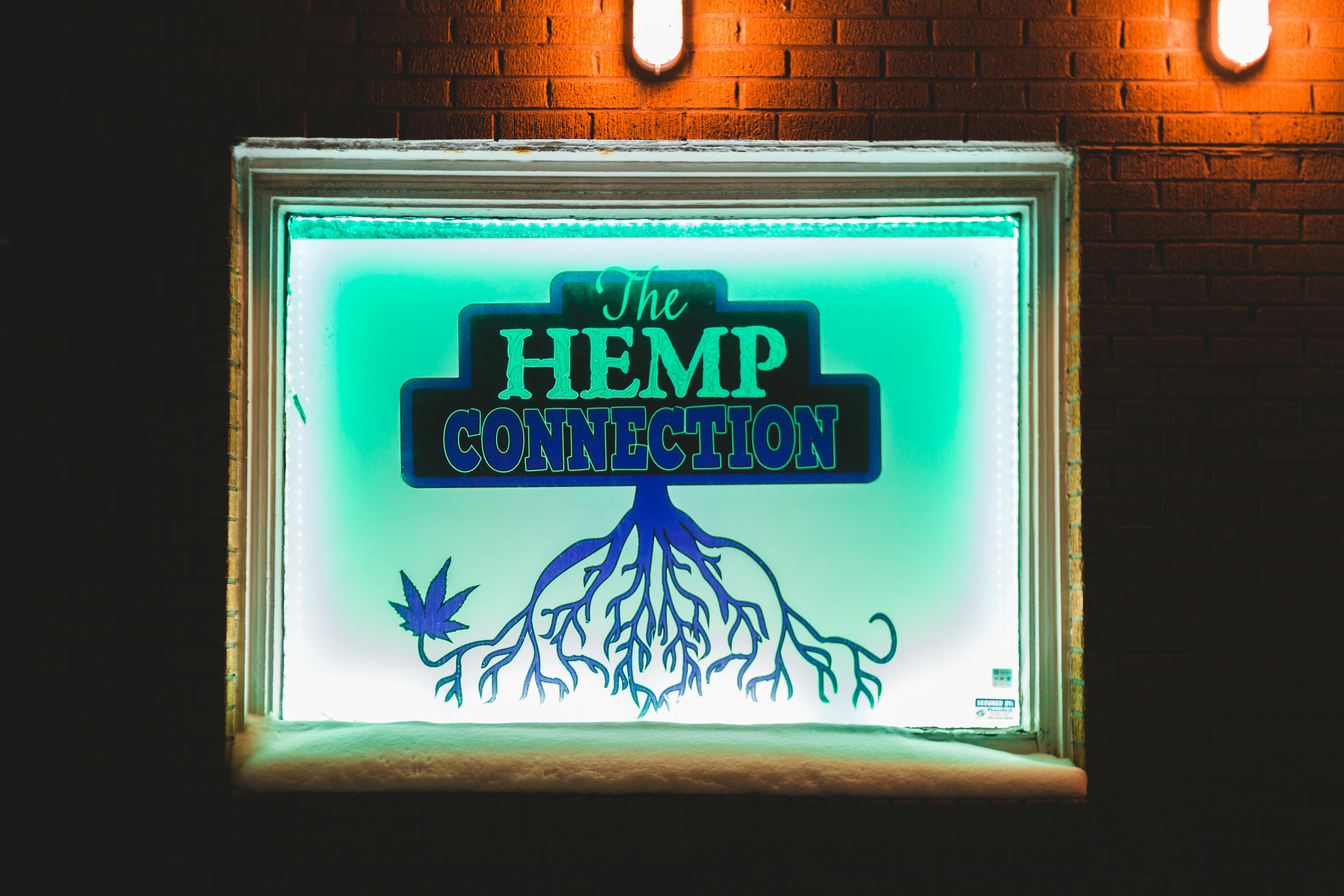 The Hemp Connection LED sign photo – Free Word Image on Unsplash
