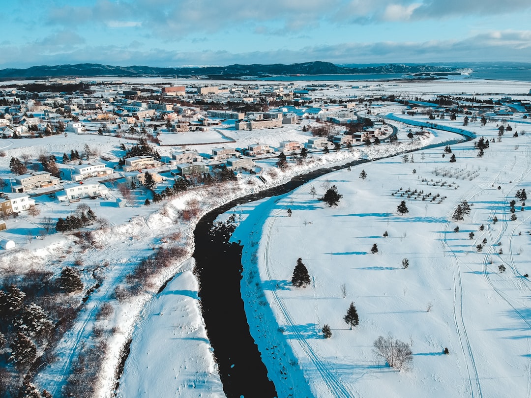 aerial photography of houses, field, and trees covered with snow under blue and white sky