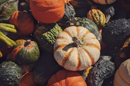 orange and green pumpkins