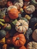 orange and green pumpkins