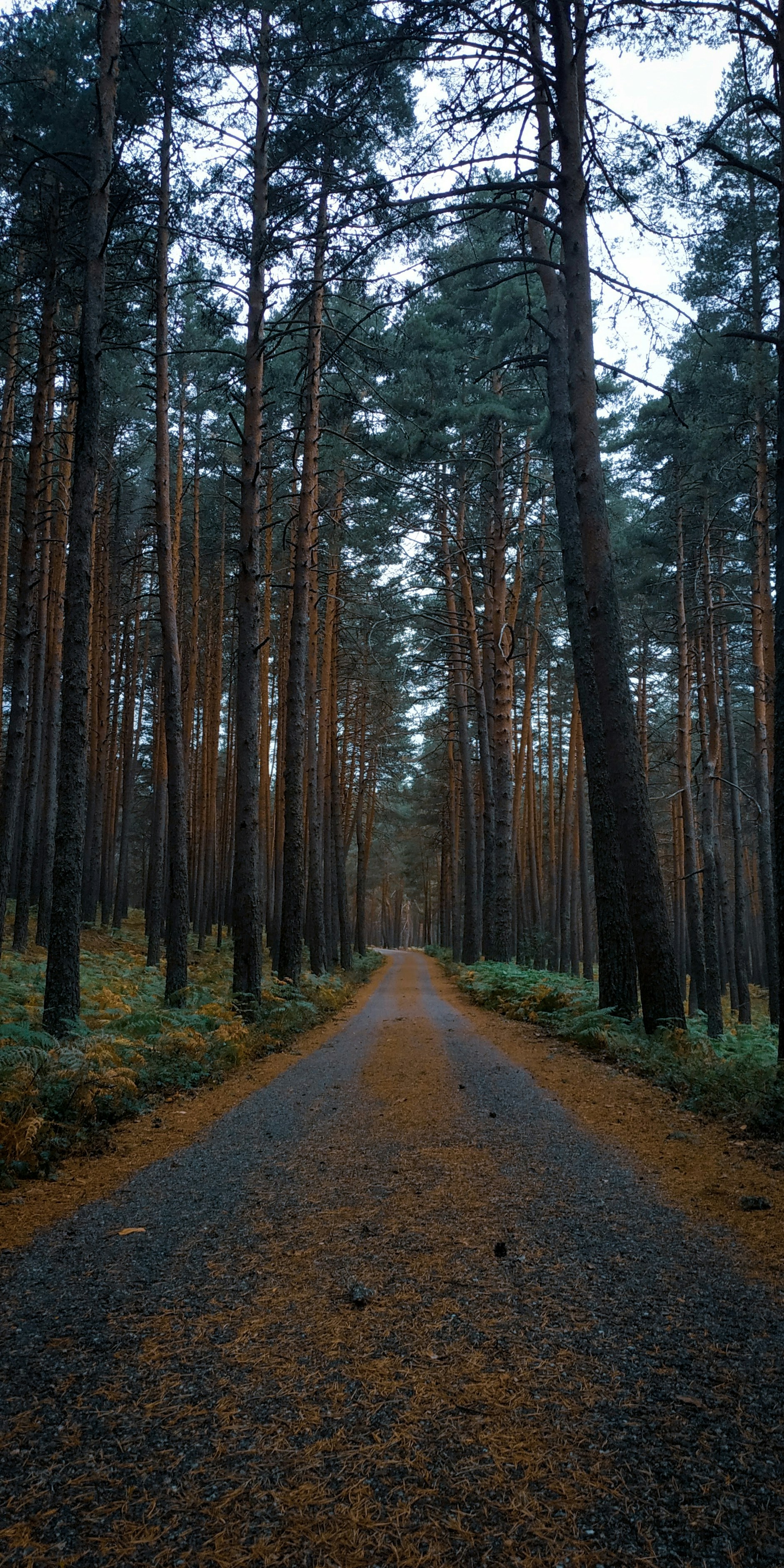 Photo by mikamagister