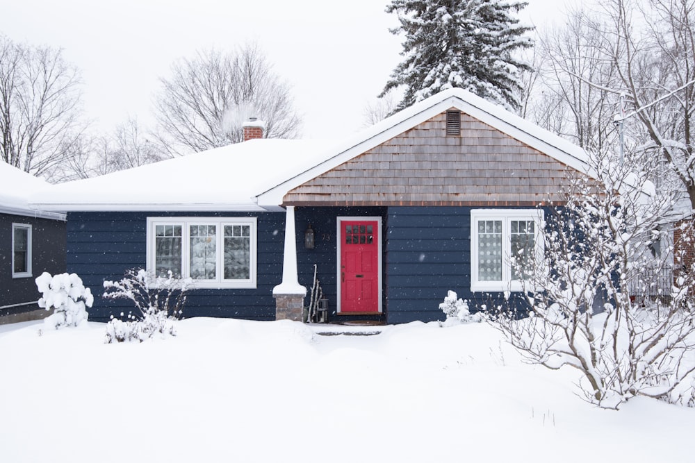 snow covered trees beside house