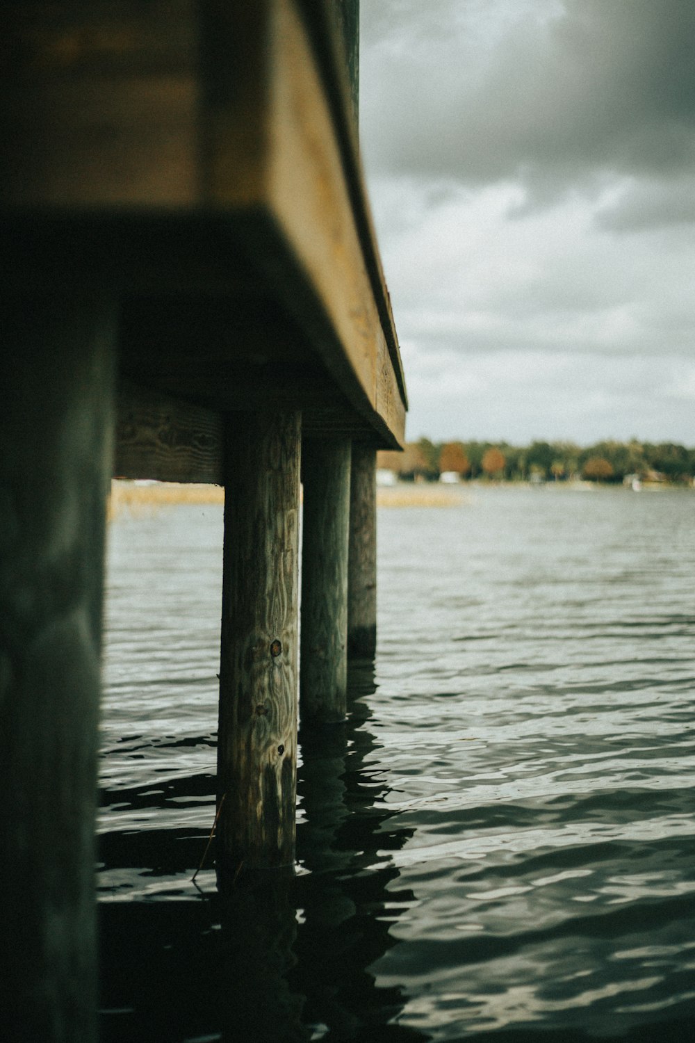 gray wooden dock during day