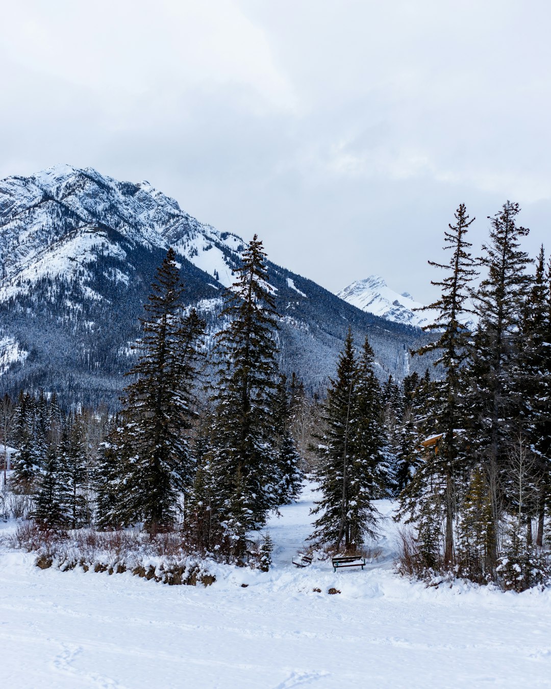 Travel Tips and Stories of Banff in Canada