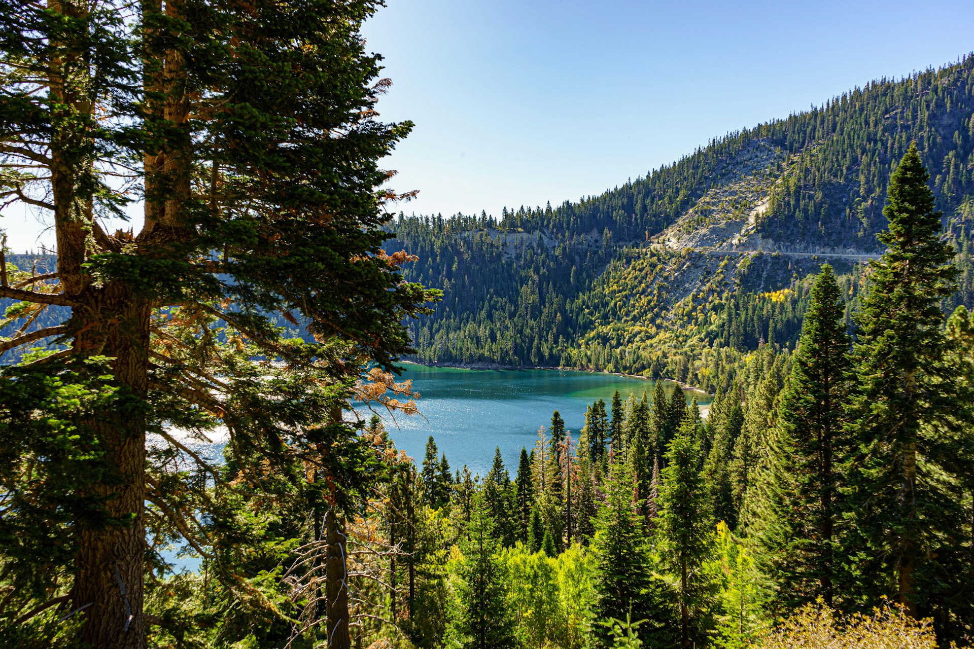 Tahoe Rim Trail section hiking