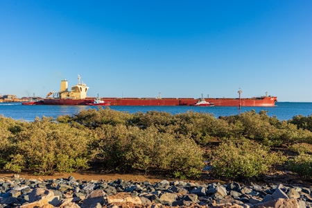 A large cargo ship, distinct with its red hull and beige superstructure, is stationed in the tranquil blue waters near a coastline. The foreground exhibits dense mangrove vegetation and rocky terrain. A clear, bright sky forms the backdrop. Two small tugboats are positioned alongside the cargo vessel, assisting in navigation or docking.