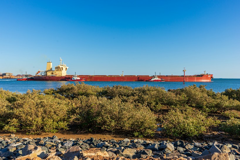 A large cargo ship, distinct with its red hull and beige superstructure, is stationed in the tranquil blue waters near a coastline. The foreground exhibits dense mangrove vegetation and rocky terrain. A clear, bright sky forms the backdrop. Two small tugboats are positioned alongside the cargo vessel, assisting in navigation or docking.