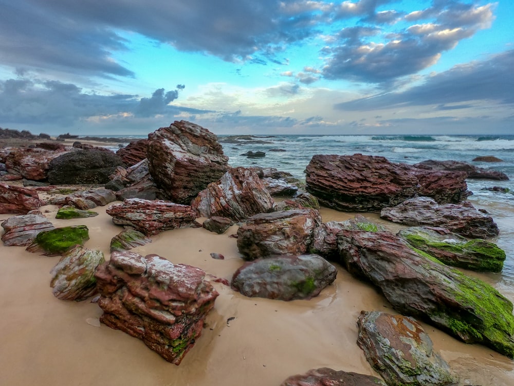 rocky shore during day