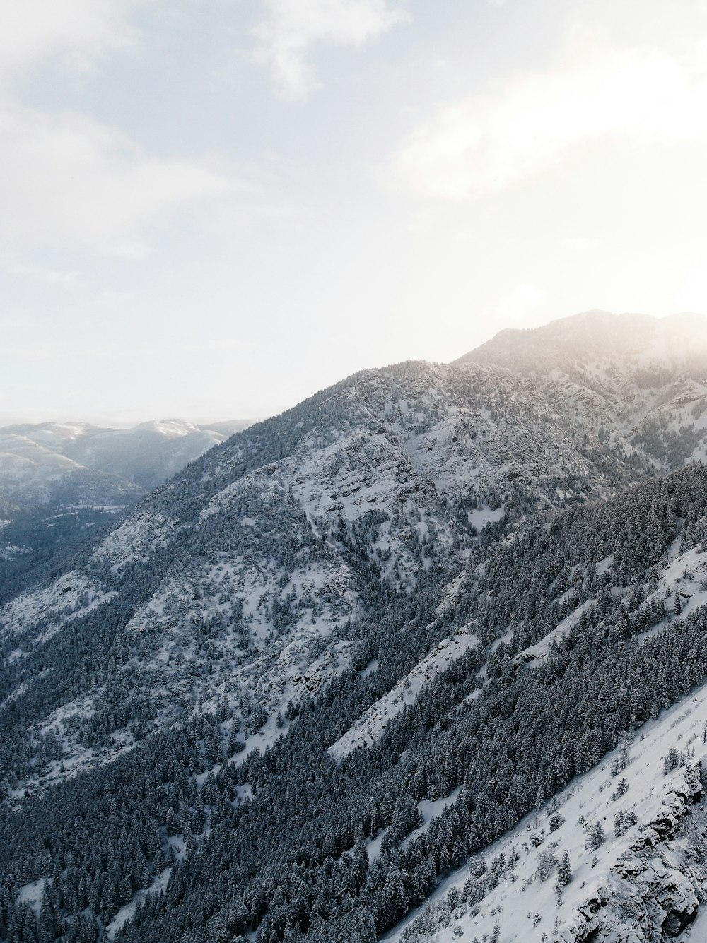 forest and glacier mountains