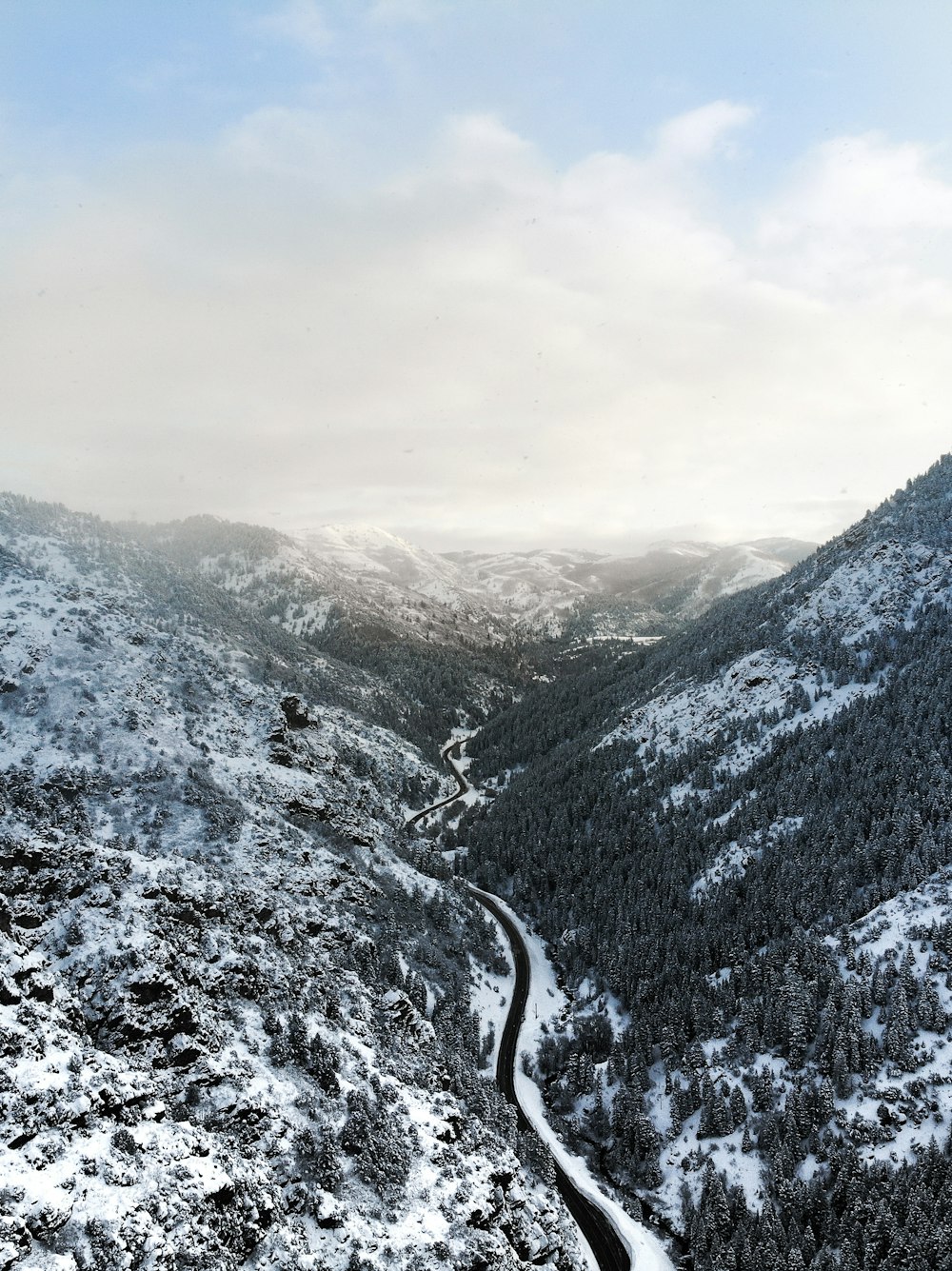 road near forest and glacier mountains