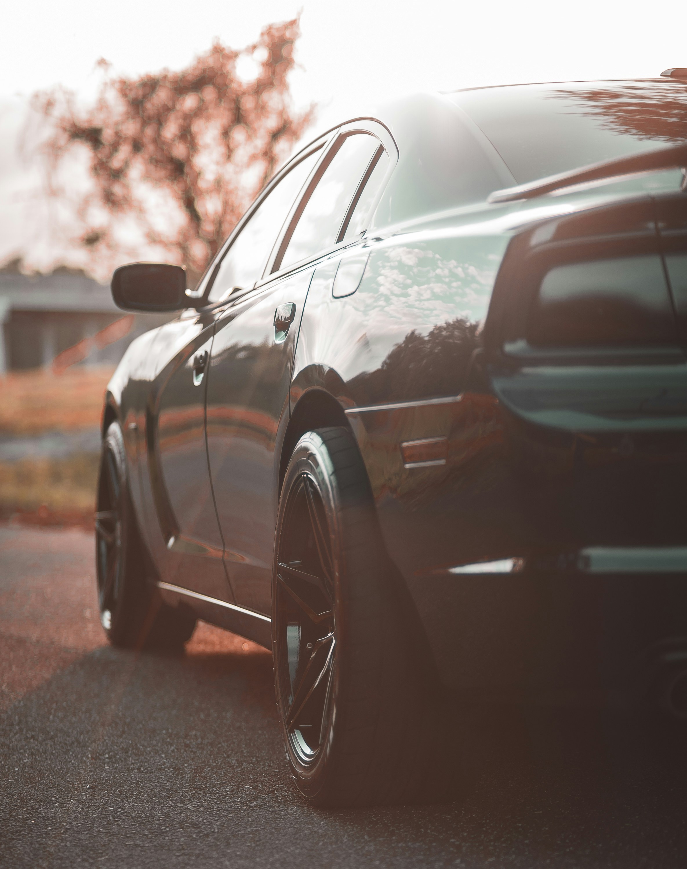 Photo by 535_productions