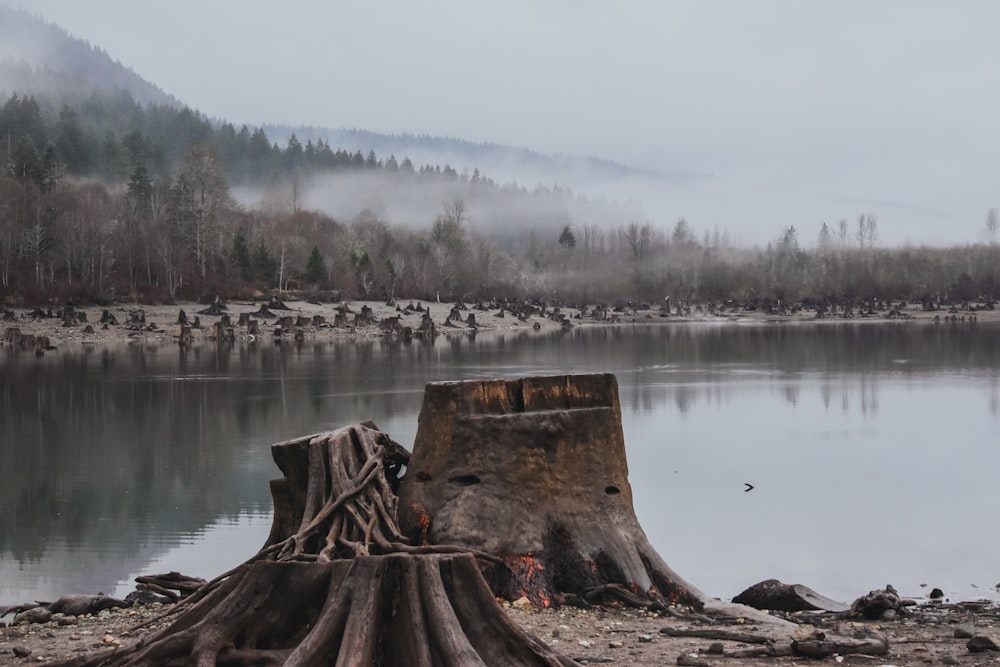 gray body of water