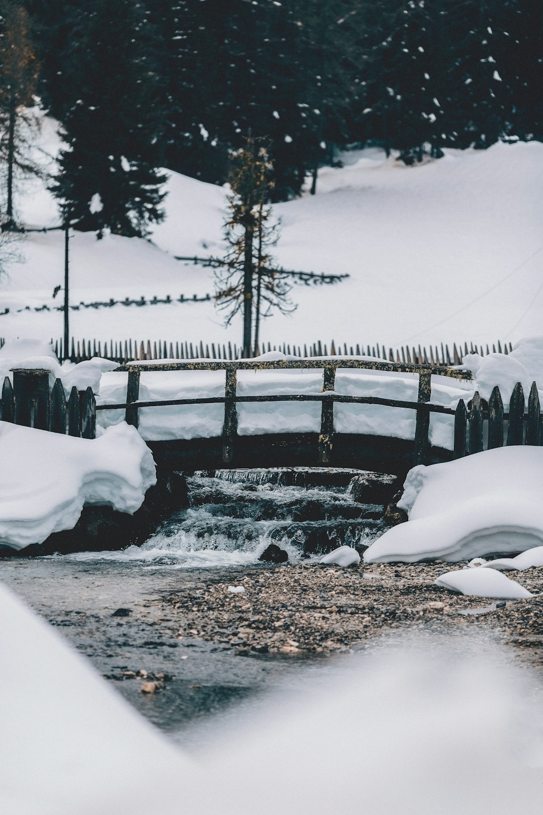 brown bridge