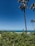 A scenic view of a tropical beach with clear blue waters and palm trees swaying in the breeze.